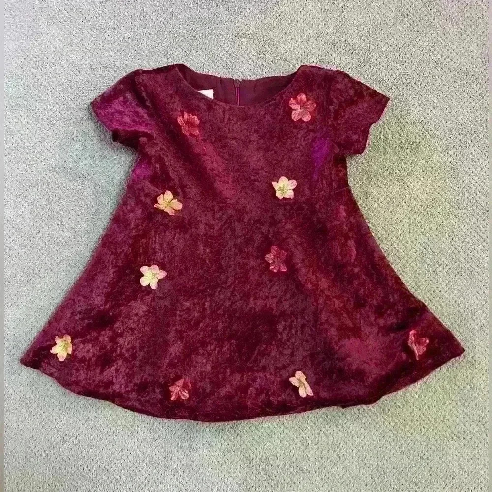 Samara Infant Fall Velvet Dress